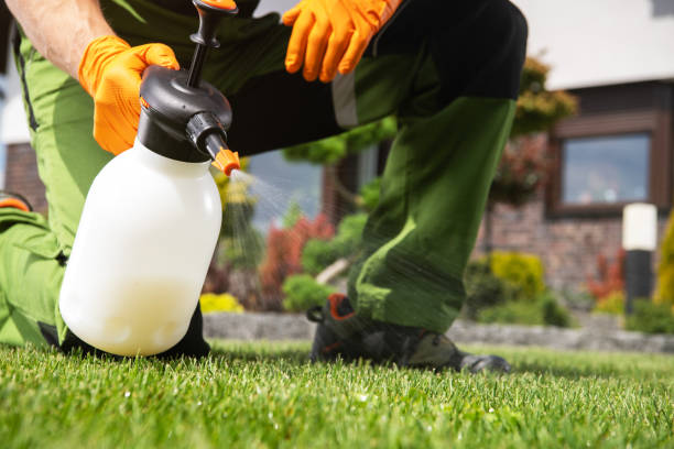 Best Pest Control Near Me in Newtown, PA
