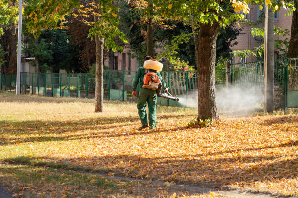 Best Residential Pest Control  in Newtown, PA