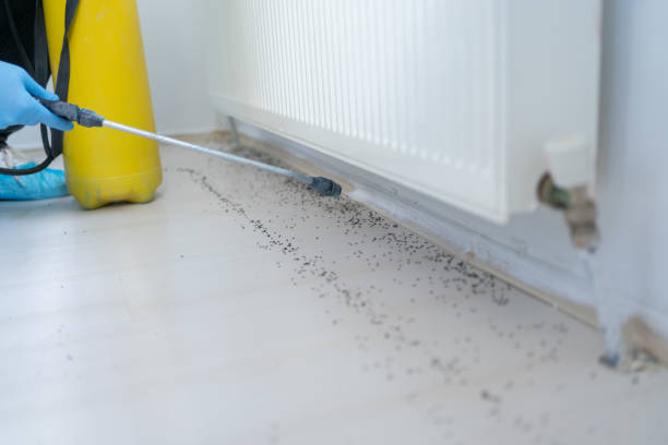 Best Best Pest Control Companies  in Newtown, PA